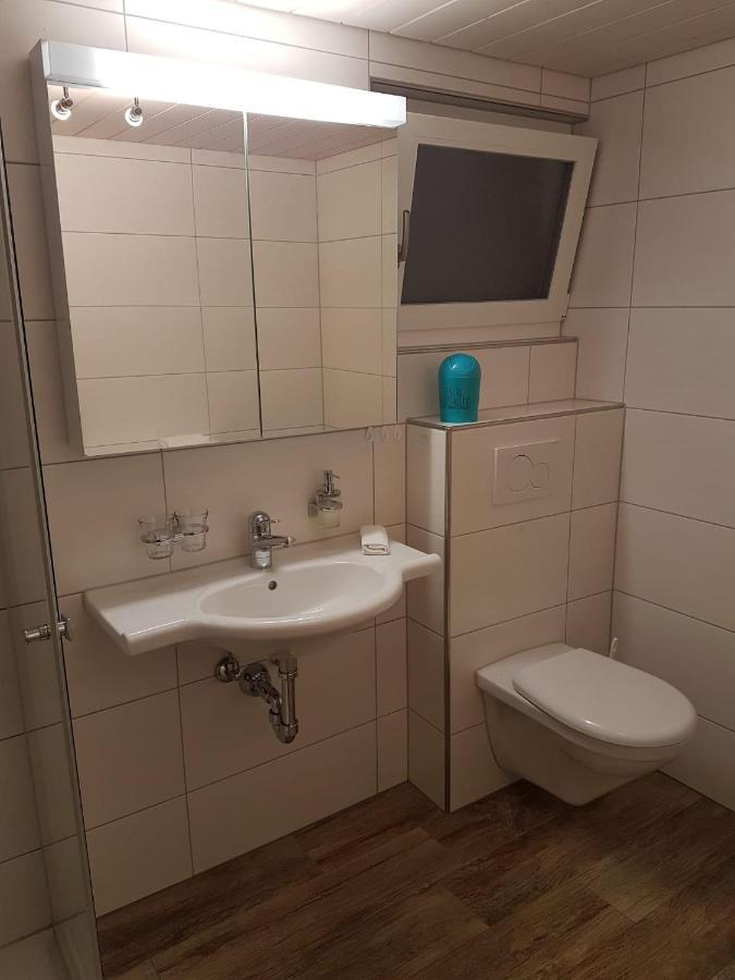 Chalet Grueneggli Αντελμπόντεν Εξωτερικό φωτογραφία