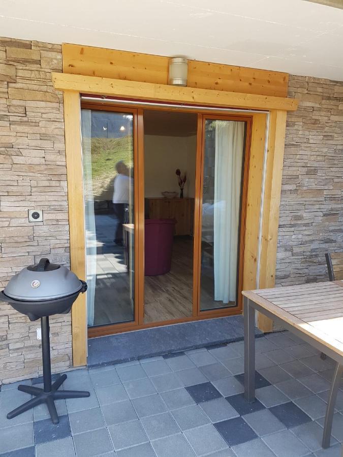 Chalet Grueneggli Αντελμπόντεν Εξωτερικό φωτογραφία