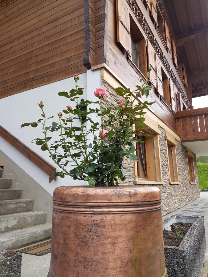 Chalet Grueneggli Αντελμπόντεν Εξωτερικό φωτογραφία