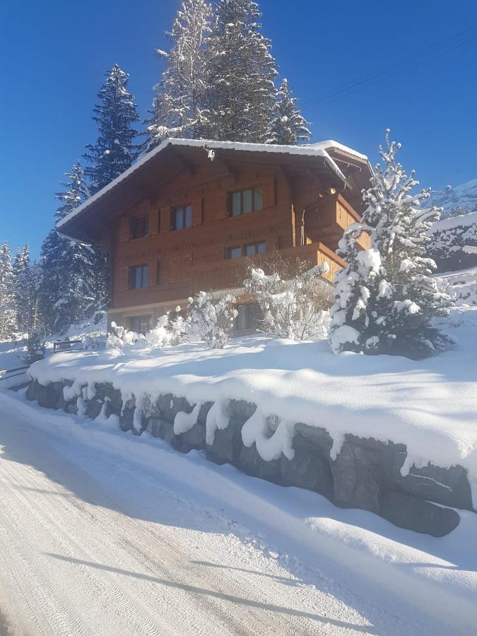 Chalet Grueneggli Αντελμπόντεν Εξωτερικό φωτογραφία