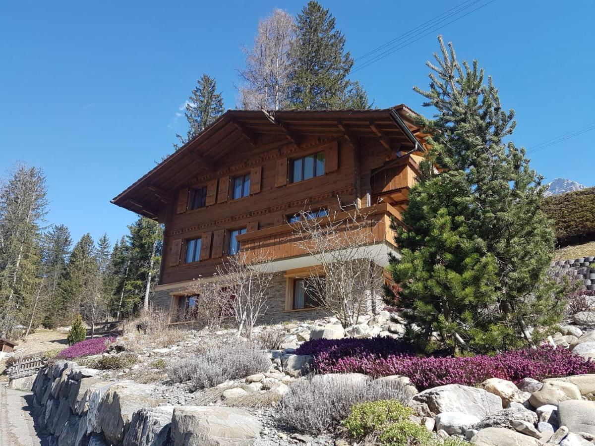 Chalet Grueneggli Αντελμπόντεν Εξωτερικό φωτογραφία