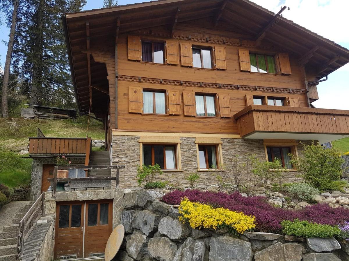 Chalet Grueneggli Αντελμπόντεν Εξωτερικό φωτογραφία