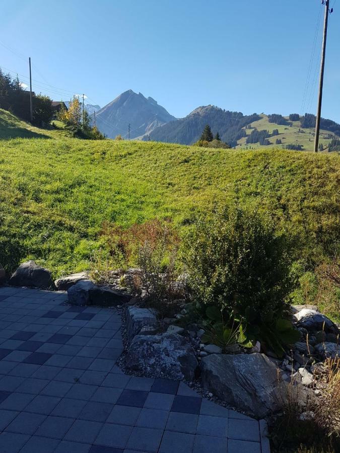 Chalet Grueneggli Αντελμπόντεν Εξωτερικό φωτογραφία