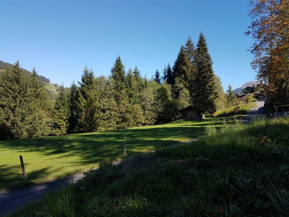Chalet Grueneggli Αντελμπόντεν Εξωτερικό φωτογραφία