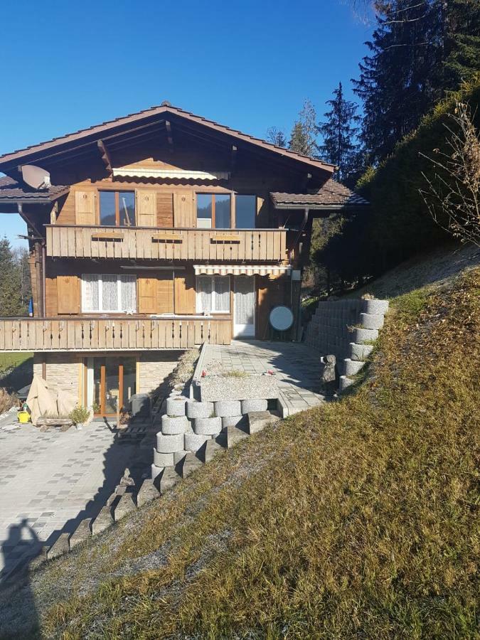 Chalet Grueneggli Αντελμπόντεν Εξωτερικό φωτογραφία